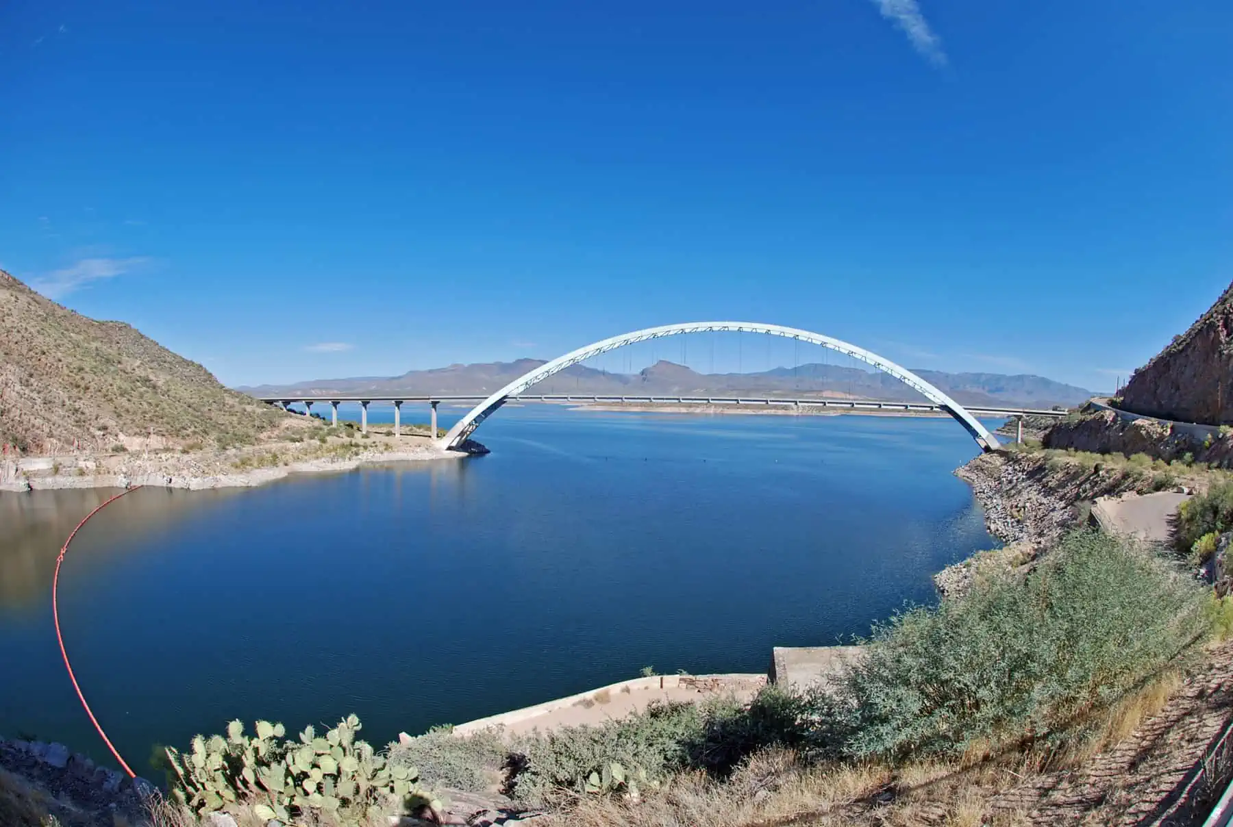 bridge fisheye | Lake Management Inc.