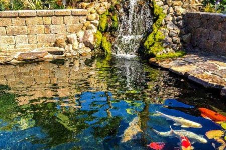 A koi pond with a stormwater retention basin and a waterfall in the middle.