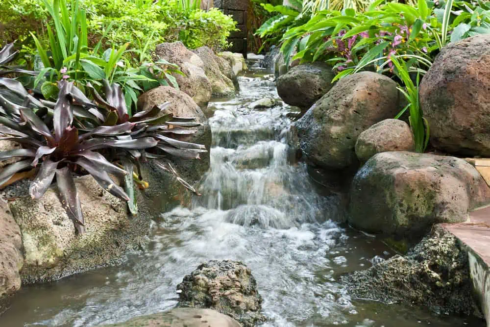 pond construction service