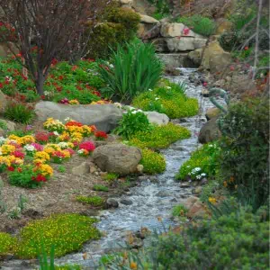 A garden stream with vibrant flowers and carefully arranged rocks.