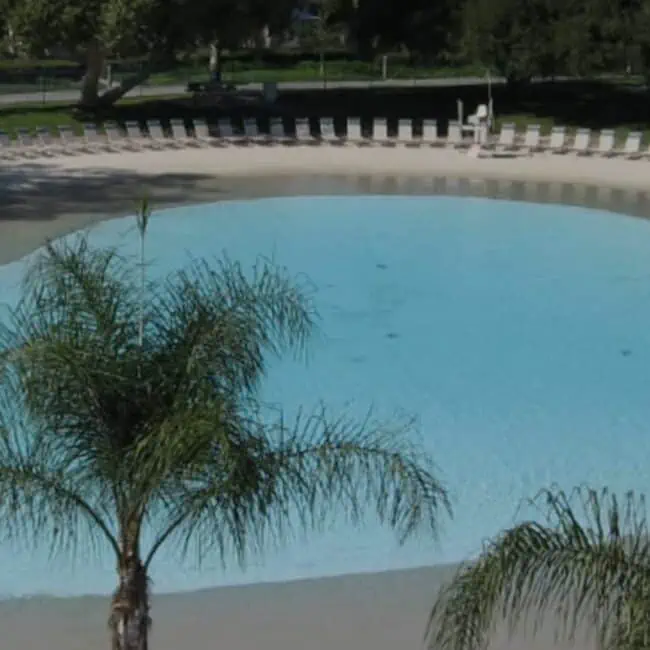 A pool with chairs and palm trees in the background.