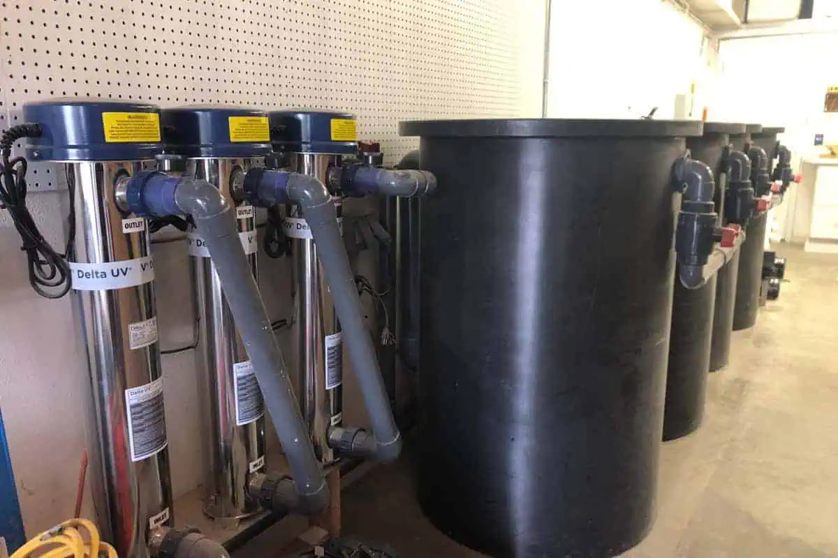 A row of industrial purification units is installed next to large black cylindrical tanks in a utility room.