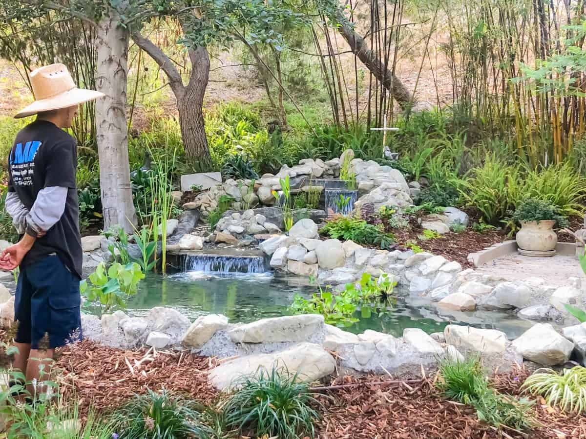 A person wearing a wide-brimmed hat stands near a lush garden pond with cascading waterfalls, surrounded by rocks and greenery, showcasing the beauty that expert lake management can bring to a natural setting.