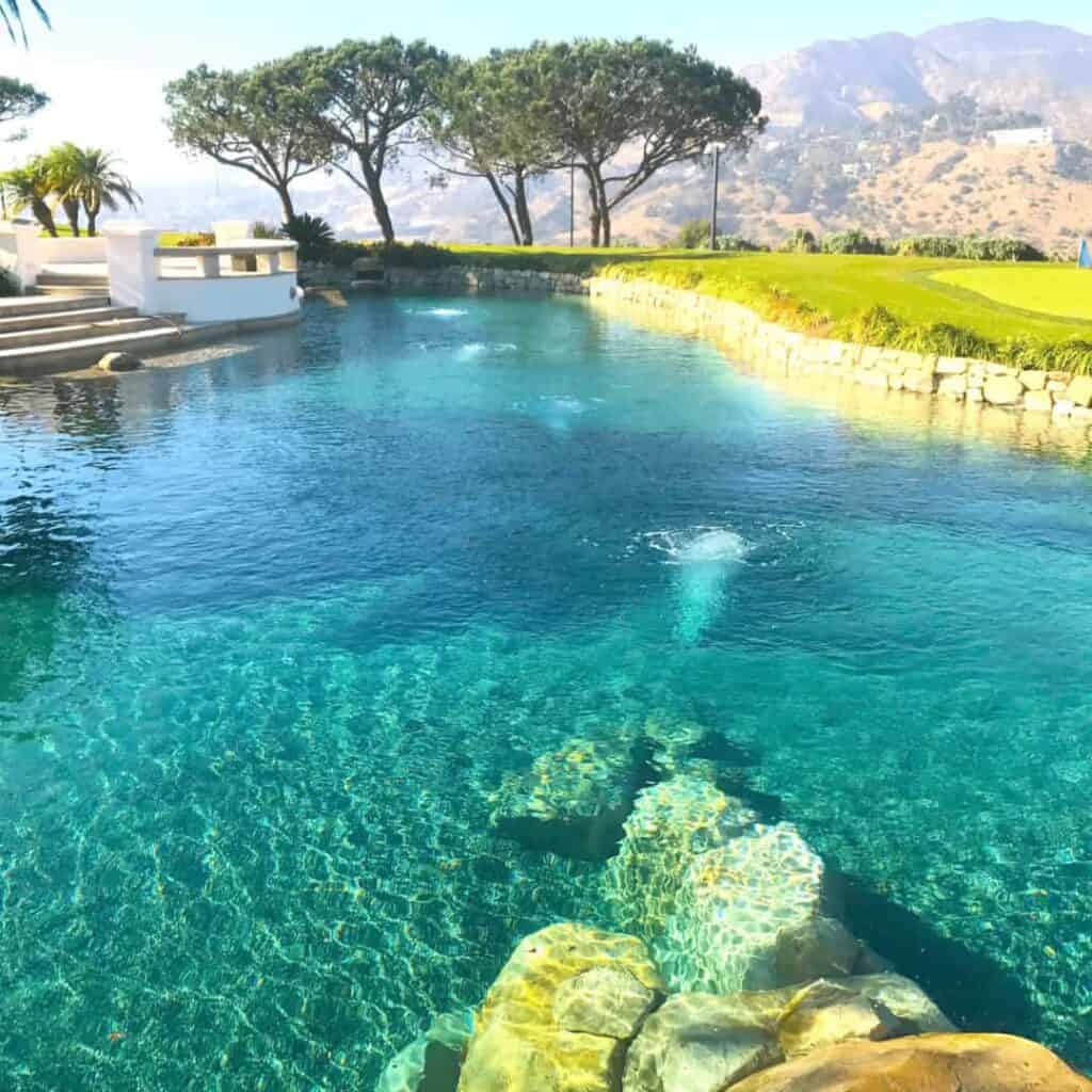 Clear blue swimming pool with underwater rocks, bordered by a stone wall and surrounded by trees with a mountainous backdrop. Steps and a small white structure are visible on the left side, creating an inviting scene where an exit intent popup could seamlessly guide you to a lead form for more info.