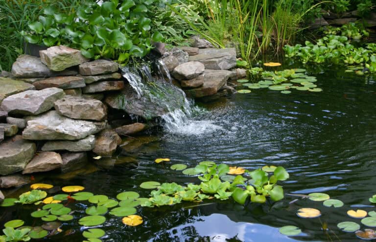 What Are The Benefits Of Having A Pond
