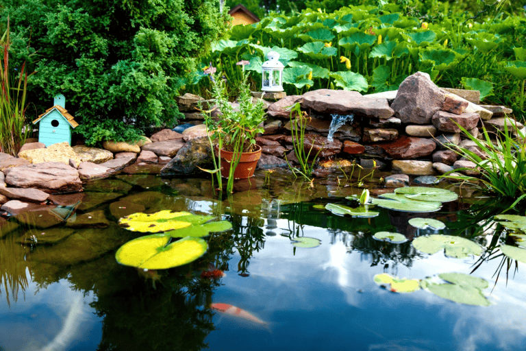 Small backyard pond with lily pads, koi fish, potted plants, rocks, and decorative items like a birdhouse and lantern, surrounded by lush greenery.
