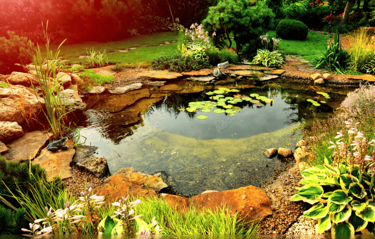 A small garden pond with lily pads, surrounded by rocks, green plants, and flowers, set in a landscaped yard under sunlight—perfect for relaxing and easy fall pond care to prevent muck and keep your pond beautiful year-round.