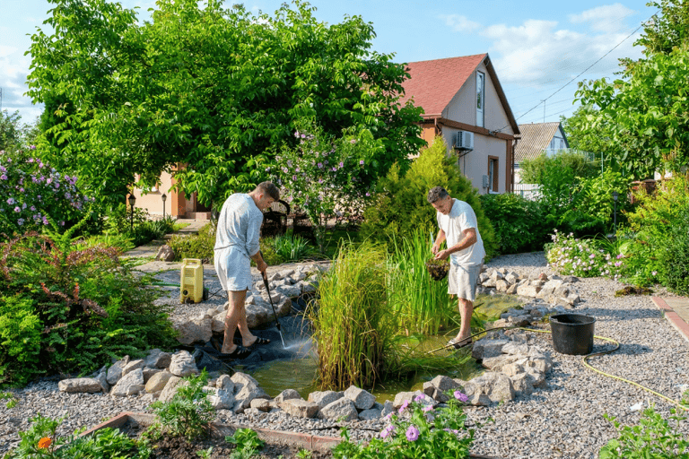 Two people perform pond maintenance and prevent muck as they clean and care for a small garden pond surrounded by rocks and lush plants in a landscaped backyard on a sunny day.