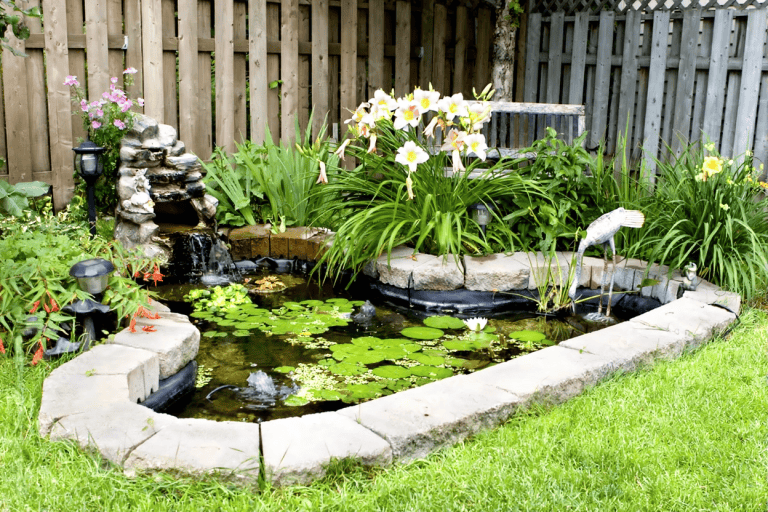 A small backyard pond with lily pads, blooming flowers, a stone border, and garden decor sits against a wooden fence—perfect for relaxing and easy fall pond care to prevent pond muck.